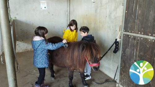 Les GS ont participé à la journée Poney école 